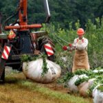Un avión aterrizó de emergencia en Apóstoles
