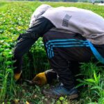 Positiva participación de los jugadores misioneros en Youth Cup del Bayern Múnich