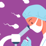 Es ley el presupuesto 2023 que incluye crear la zona aduanera especial