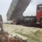 Este viernes se presenta La Mosca en Posadas con un show para toda la familia