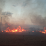 Pasaban combustible de forma ilegal exponiendo niños