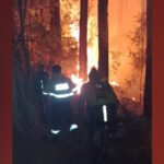 Alfredo Schiavoni destacó el consenso de cargos del Frente Juntos por el Cambio en Misiones