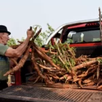 Denuncia que su hijo de 7 años es golpeado por su madre