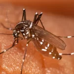 Se reabre el circuito inferior de Cataratas después de dos años