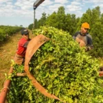 Capacitaciones online gratis para PyMEs de Misiones