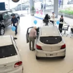 La yerba mate presente en el Congreso Nacional de Biodiversidad