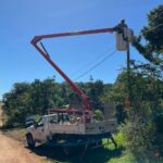 Abortos espontáneos en mujeres fértiles 