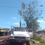 La yerba mate presente en el Congreso Nacional de Biodiversidad