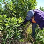 Habló en exclusiva el abuelo de Lucio Dupuy tras aprobarse la ley de su nieto