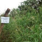 Aporte desde el IPRODHA para la escrituración a familias, en caso de divorcio y fallecimiento.