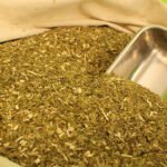 2 de Abril: la historia de un ex combatiente de Malvinas