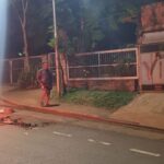 El laberinto vegetal de Montecarlo en estado terminal por las hormigas y la falta de cuidado