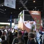 Electricidad de Misiones sumó nuevos transformadores a la infraestructura de Apóstoles