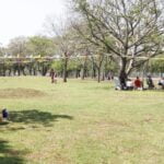 Energía de Misiones realiza importantes trabajos de readecuación sobre línea 132 KV SAN ISIDRO-GDOR ROCA