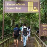 Caso Lotocki: preocupación por la falta de inhabilitación del médico en Misiones