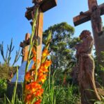 El Parque Nacional Iguazú no abrirá este miércoles, en el marco de una protesta nacional de guardaparques