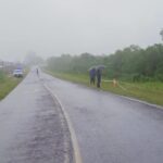 Piden circular con precaución por filas de camiones en la entrada del Puente Internacional de Posadas