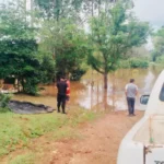 Destituyeron a la vicepresidenta de una cooperativa de Eldorado tras un robo millonario