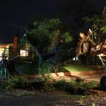 Con la presencia de Gokú, llega la Creepy Palooza a la plaza San Martín de Posadas