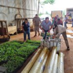 Programa Sustituir: recambio de infraestructura fundamental en barrios de Posadas