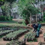 Acusan al abogado de la panadería Maná de intimidaciones