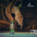 Rápida intervención del gobierno provincial a los afectados por el temporal de Alem