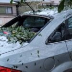 Entre risas e ilusiones, se viene la Expo-Encuentro del Prematuro 2023