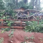 Se conocieron las nominaciones para los Premios Arandú 2023