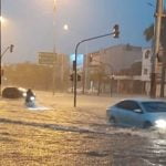 La disforia de género en niños y la preocupación de los padres