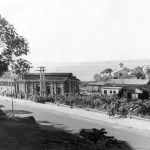 Healthspan y Mindfulness: las nuevas tendencias de la vida saludable