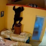 Más de 40mil personas pudieron ver las copas de la Selección Argentina