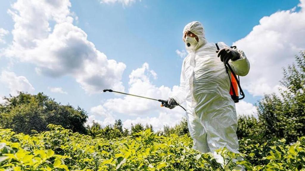 Los bioherbicidas son la nueva opción para reemplazar el glifosato en la producción