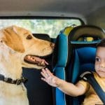 La Casa Paraguaya: solidaridad y tradición