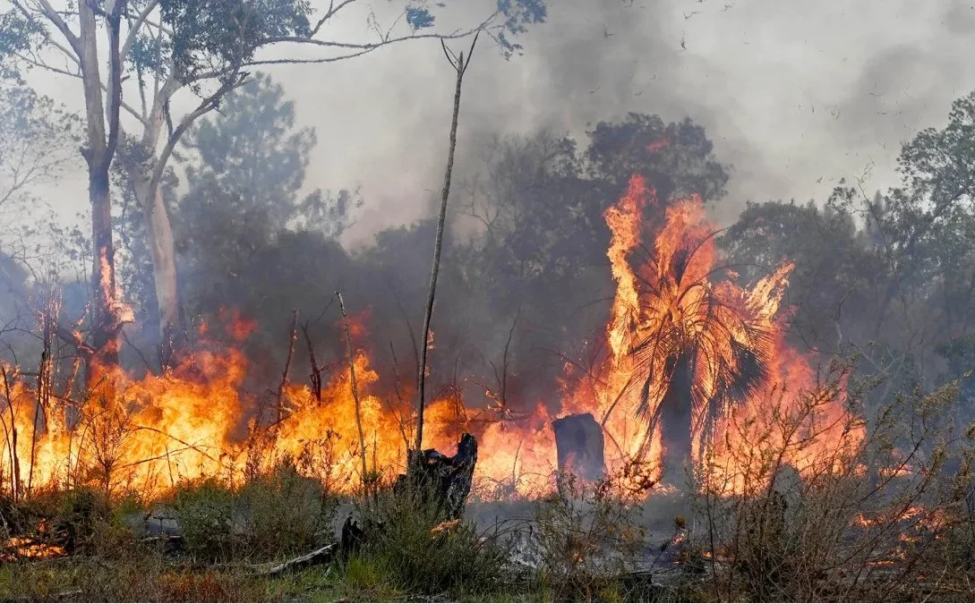 Hay alerta de incendios por la falta de lluvias