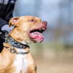 Hipermetropía: ver mal de cerca y de lejos