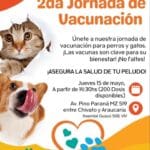 Vuelve el vuelo directo que conecta Córdoba con Misiones