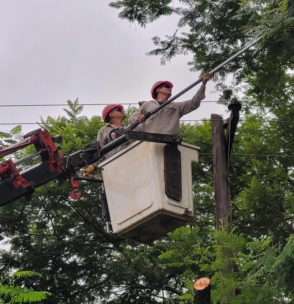 Arranca Operativo de poda para despejar infraestructura eléctrica en Posadas