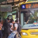 Se registró un 83.9% más en patentamiento