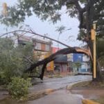 Apóstoles: policías asistieron a un niño que corría solo bajo la tormenta