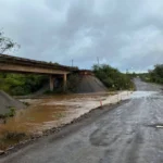 Maratón Posadas 2025: ya está abierta la inscripción con precios promocionales