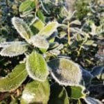 Discutió con un vecino, se descompensó y ahora investigan su muerte como homicidio