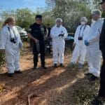 Posadas se prepara para celebrar el Día del Amigo con promociones y actividades