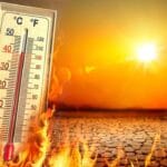 Secuestraron más de 50 kilos de marihuana ocultos cerca de la Colectora San Cayetano