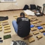 Hallan muerto a un gato onza en el Paraje Itatí y abren una investigación