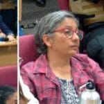 Alerta por maltrato animal: otro equino abandonado apareció en la Ruta 12