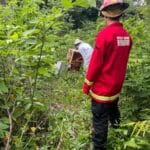 Un hombre falleció tras protagonizar un siniestro vial en el centro de Oberá