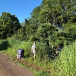 Diputados debate hoy el Presupuesto 2026 y el paquete fiscal del Gobierno