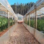 Tenía 2,33 g/l de alcohol: la Policía evitó un posible siniestro vial en Los Helechos