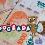 Alerta máxima en Misiones: calor y sequía llevan el riesgo de incendios a nivel extremo