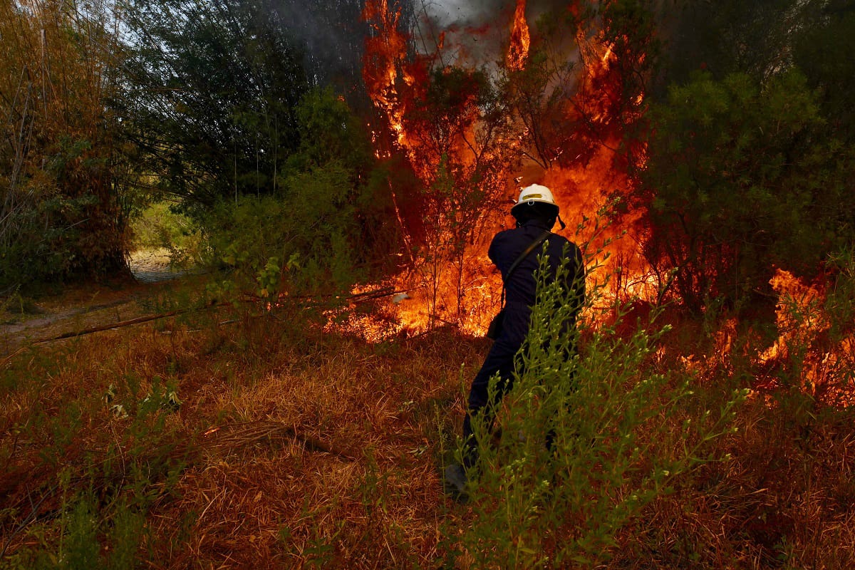 Alerta máxima en Misiones: calor y sequía llevan el riesgo de incendios a nivel extremo